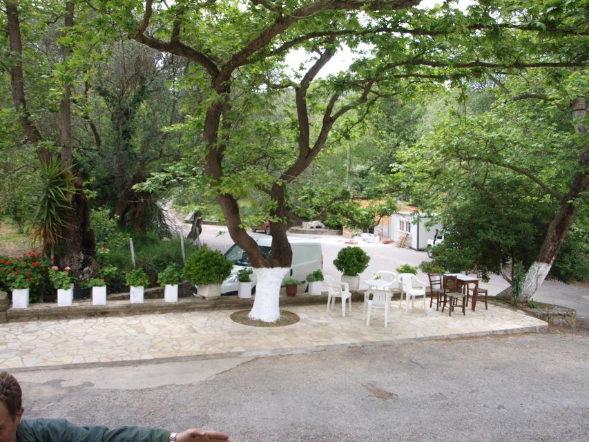 Explore the Secrets of Wine and Olives in Chania - Karavitakis Winery and the Cretan wine tradition