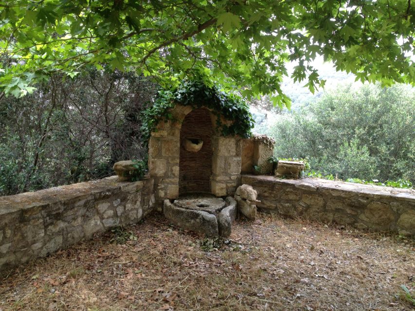 Explore the Secrets of Wine and Olives in Chania - Guides can make or break the day