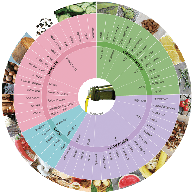 Extra Virgin Olive Oil Experience with Wine & Herbs - Learning how to taste oil properly