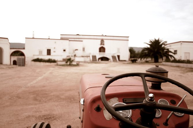 Extra virgin Savoy Tour and olive oil tasting - FASANO - Key points to know before you book
