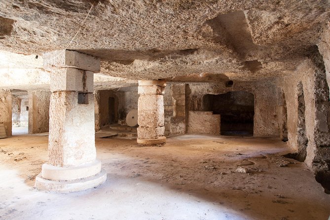 Extra virgin Savoy Tour and olive oil tasting - FASANO - Seeing the modern oil mill at work