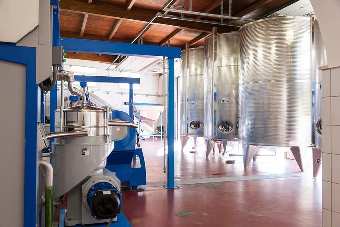 Extra virgin Savoy Tour and olive oil tasting - FASANO - Why the private format changes the experience