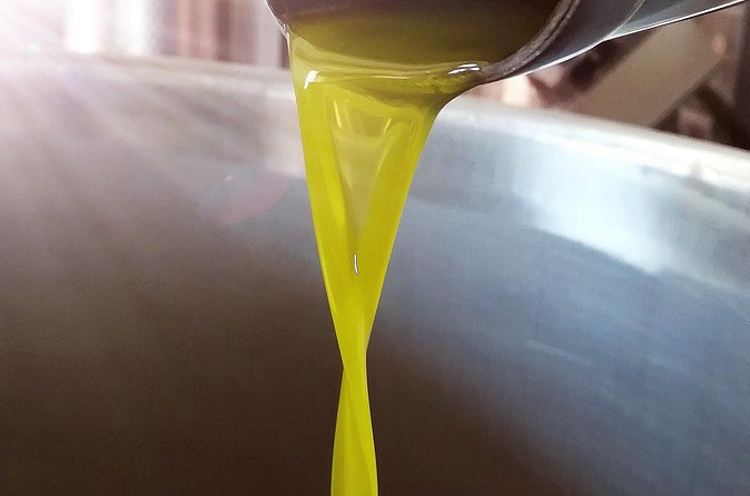 Extra virgin Savoy Tour and olive oil tasting - FASANO - Is $33.64 per person good value?