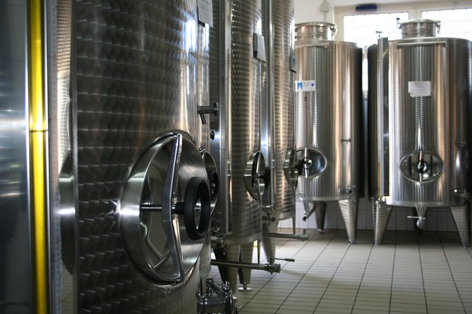 Extra virgin Savoy Tour and olive oil tasting - FASANO - Timing, weather, and practical planning