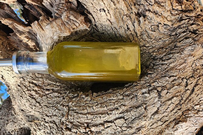 extravirgin olive oil tasting,the story of a farm - Frise, friselline, and the opening spread