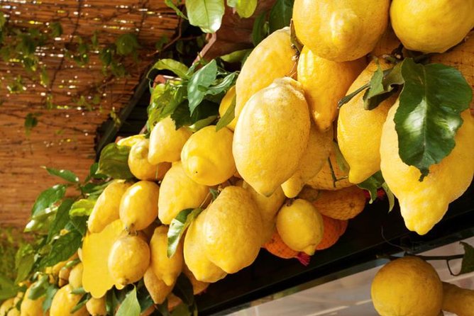 Farm-to-Table Experience: Olive Oil, Garden Tour & Nonna’s Lunch - Timing, comfort, and practical limits