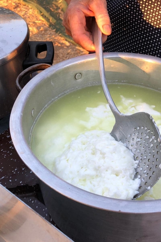 Farm Tour with Cheese-Making, Olive Oil Tasting & Picnic - Practical advice before you go