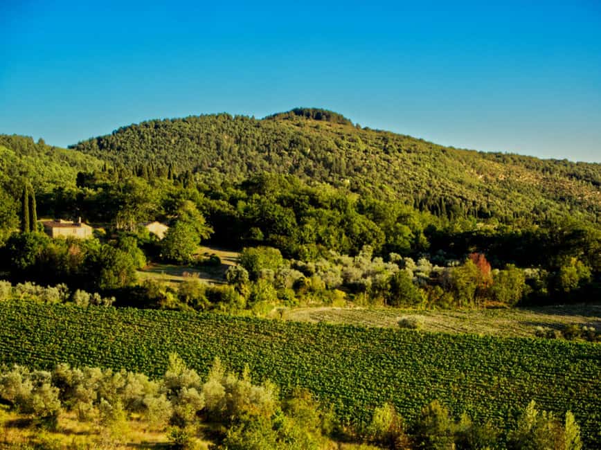 Fiesole E-Bike Tour with Olive Oil Tasting or Pool & Chill - Practical tips for a smoother ride