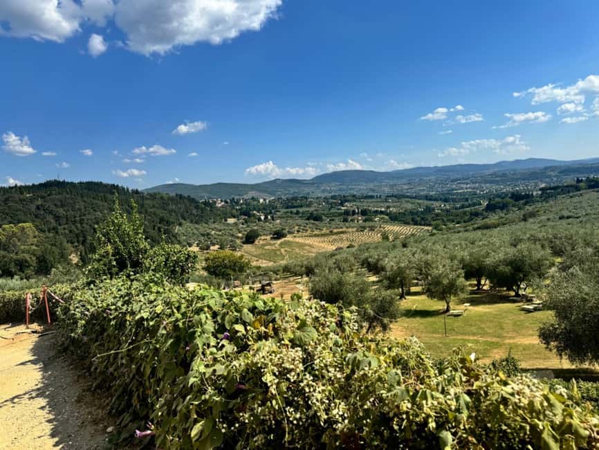 Fiesole E-Bike Tour with Olive Oil Tasting or Pool & Chill - The return to Florence is easier