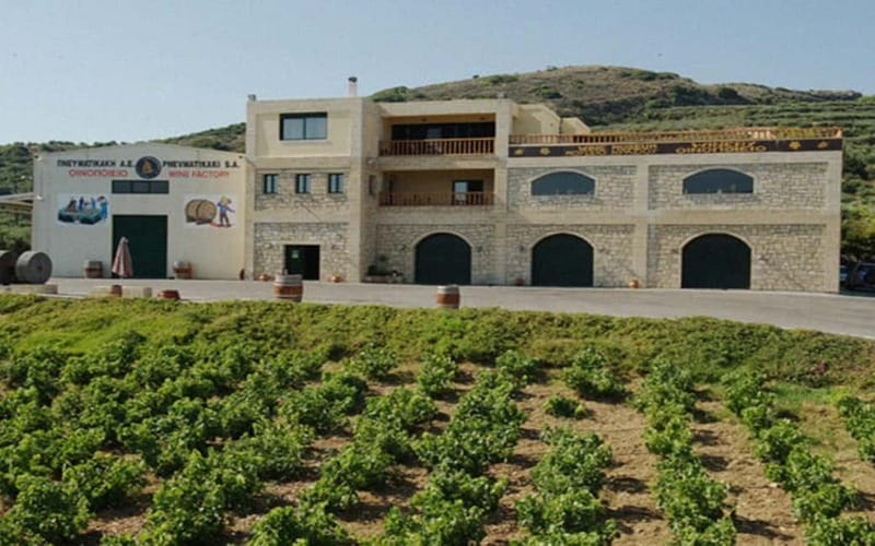 Flavors of Crete from Chania: Wine & Olive Oil Tasting Tour - Who will enjoy this day most