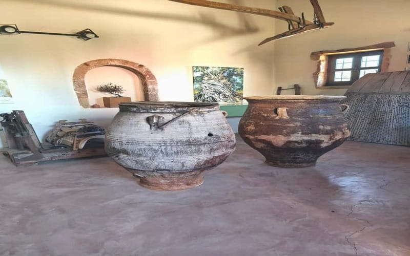 Flavors of Crete from Chania: Wine & Olive Oil Tasting Tour - Olive oil, honey, and the working side of Cretan food