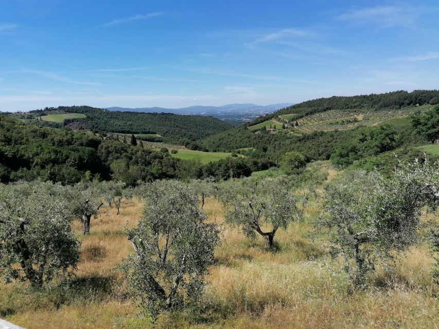 Florence: E-Bike Tour with Olive Oil in the Tuscan Hills - Guides, group size, and how personal it feels