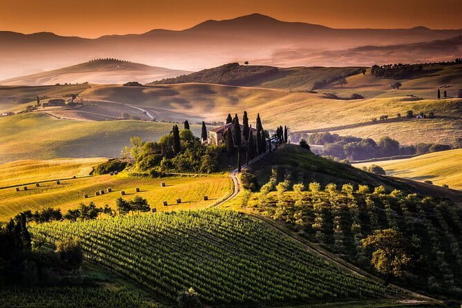 Florence Food Tour: Home-Made Pasta, Truffle, Cantucci, Olive Oil, Gelato - Palazzo Vecchio, Piazza della Signoria, and the route’s city lesson