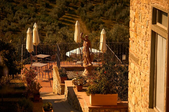Florence: Great Chianti Wine and Olive Oil Trail with Lunch - The third winery and the broader tasting