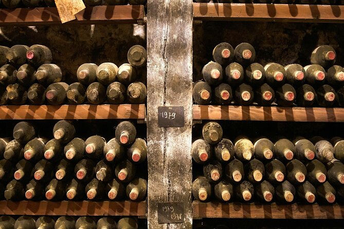 Florence: Great Chianti Wine and Olive Oil Trail with Lunch - Practical advice for a smoother day
