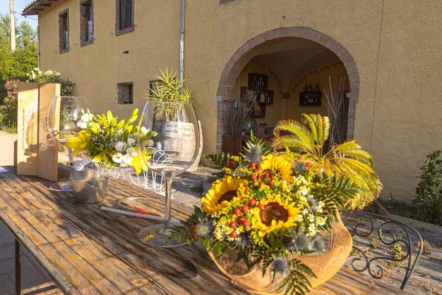 Florence: The secret of wine, cheese and olive oil at a farm - Ten cheeses, fresh ingredients, and a Tuscan meal