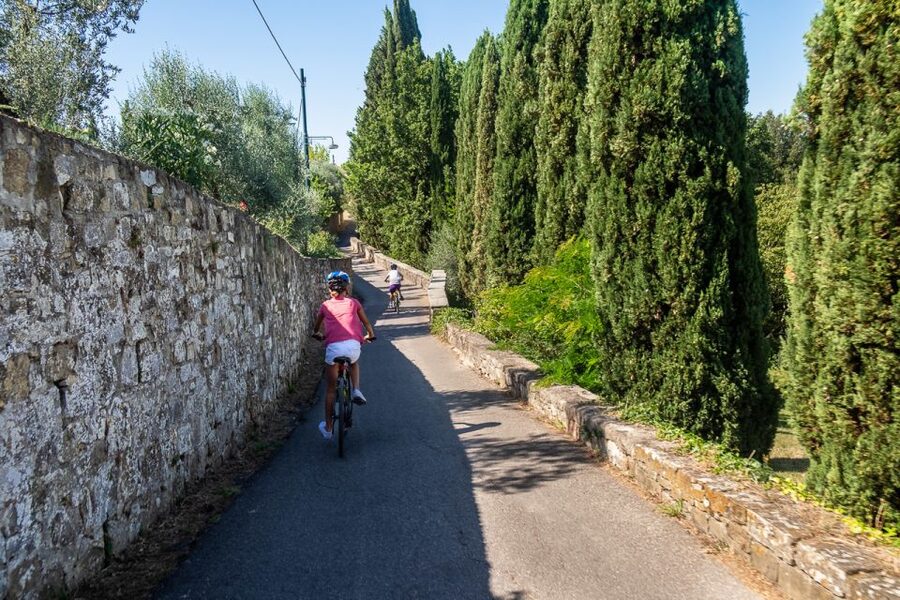 Florence: Tuscany Bike Tour with Wine & Olive Oil - Starting in Oltrarno, then climbing above Florence