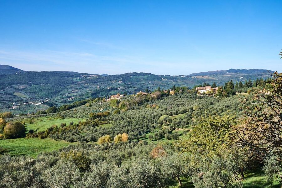Florence: Vintage Fiat 500 Tour with Wine Tasting at Winery - What the strongest praise focuses on