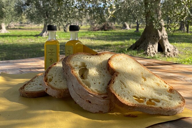 Food and Wine Tour between the Patriarchs Olives and the Oil Temples - Preparing cialledda with local ingredients