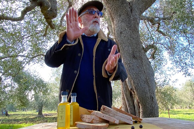 Food and Wine Tour between the Patriarchs Olives and the Oil Temples - The Lucanian tasting table