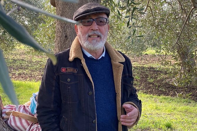 Food and Wine Tour between the Patriarchs Olives and the Oil Temples - Walking beneath the patriarch olive trees