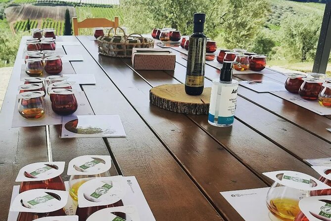 From Athens: Olive Oil Tasting, Olive Grove & Wine Experience - Meeting the hosts and getting a personal visit
