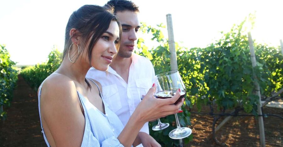 From Biograd: Wine and Olive Oil Tasting in Ražnjevića Dvori - From Biograd to the Ravni Kotari countryside