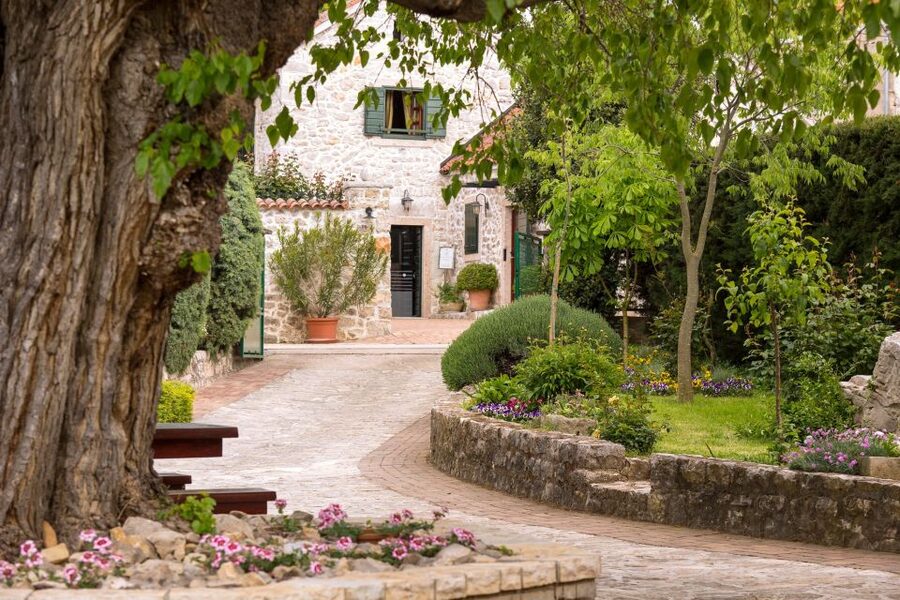 From Biograd: Wine and Olive Oil Tasting in Ražnjevića Dvori - Who will enjoy this experience most?