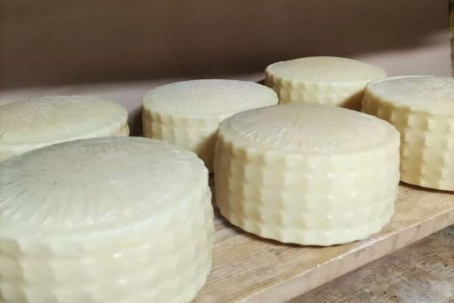 From Chania: Olive Oil, Wine, Cheese & Honey Tasting Tour - The day in five useful points