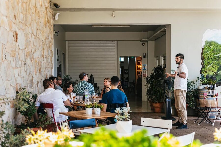 From Chania: Wine and Olive Oil Tasting Tour with Snacks - The guides make or break the day