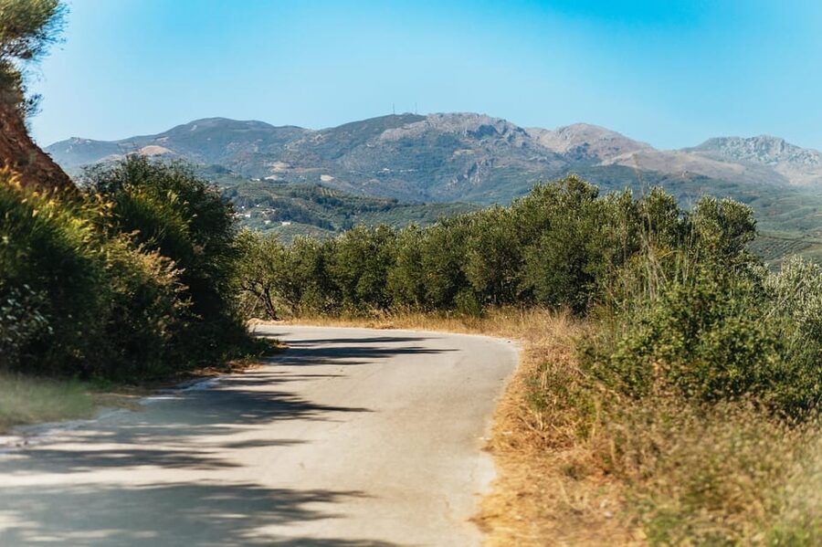 From Chania: Wine and Olive Oil Tasting Tour with Snacks - Practical details before you book