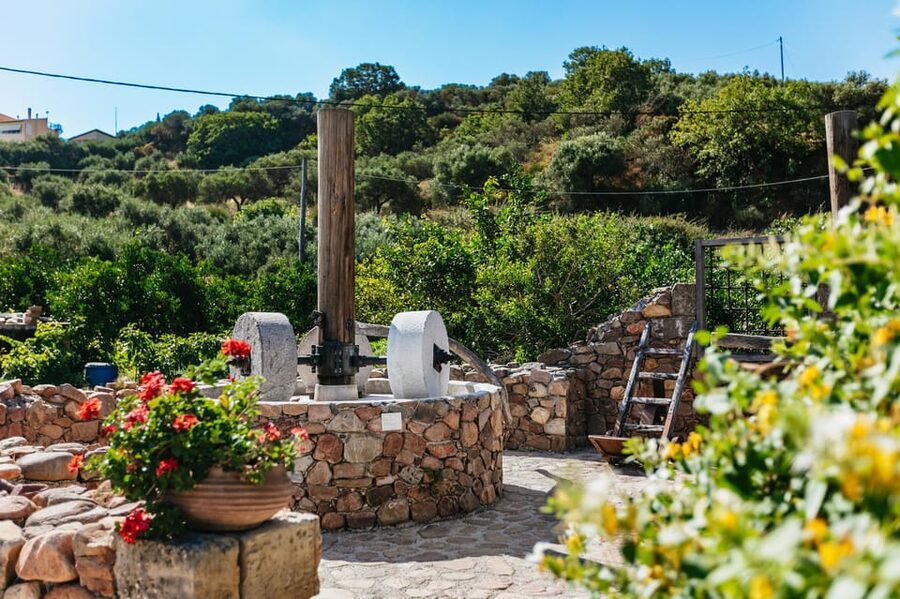 From Chania: Wine and Olive Oil Tasting Tour with Snacks - Who will enjoy this tour most