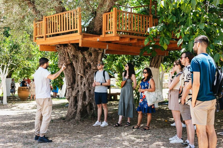 From Chania: Wine and Olive Oil Tasting Tour with Snacks - The first winery and Crete’s changing wine culture