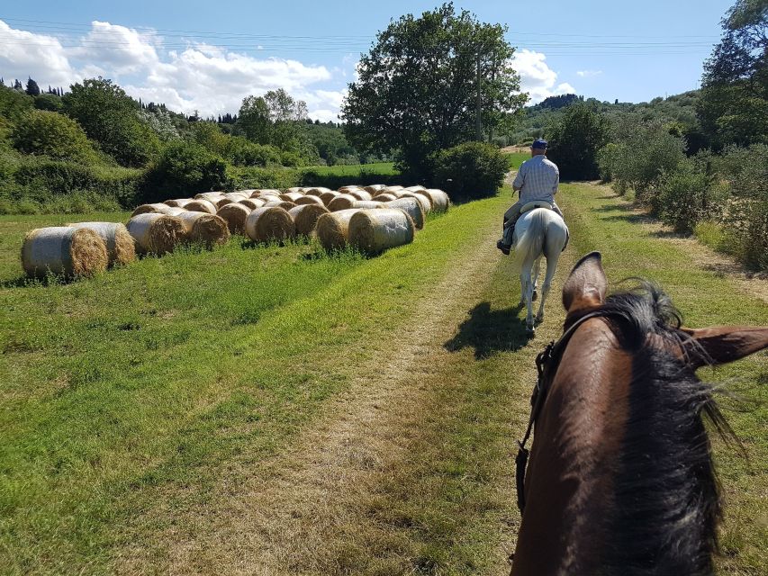 From Florence: Horseback Ride and Olive Oil and food tasting - Leaving Florence for the Chianti hills