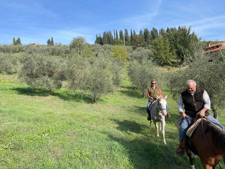 From Florence: Horseback Ride and Olive Oil and food tasting - Learning to taste extra virgin olive oil
