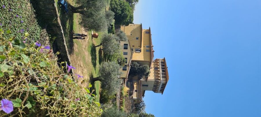 From Florence: Horseback Ride and Olive Oil and food tasting - A light Tuscan meal with Chianti