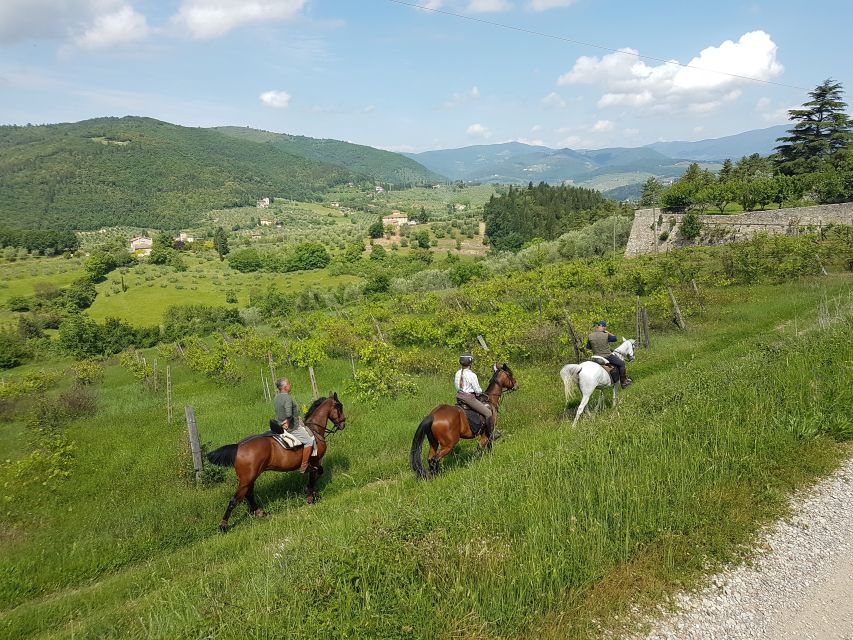 From Florence: Horseback Ride and Olive Oil and food tasting - Is $377 per person fair value?