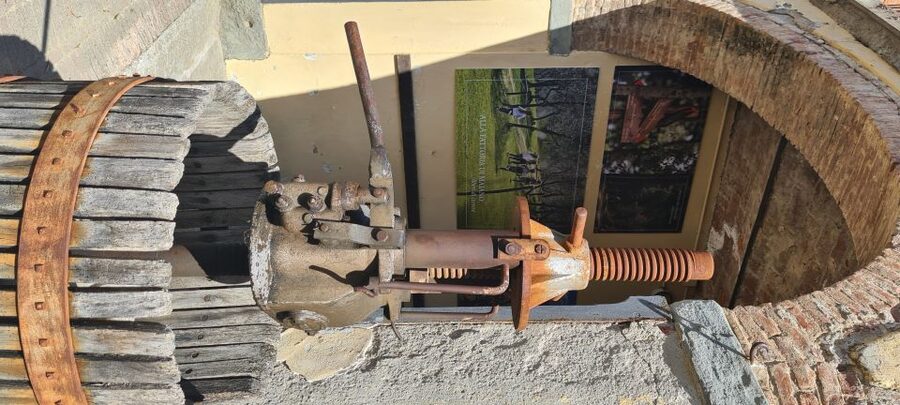 From Florence: Horseback Ride and Olive Oil and food tasting - Who should book this experience?