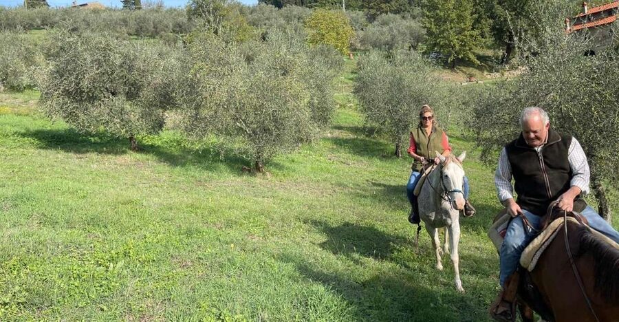 From Florence: Horseback Ride and Olive Oil and food tasting - Getting matched with a horse