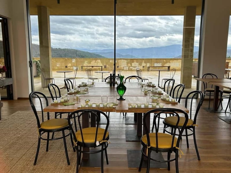From Florence: Olive Oil Mill Tour and Tasting in Fiesole - Key points at a glance