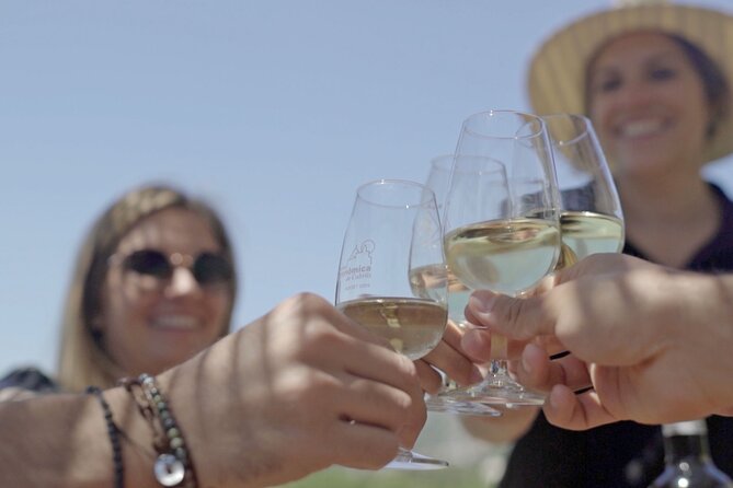 From Malaga: Ronda, Wine & Olive Oil Tasting Premium Small Group - Leaving Malaga from Plaza Poeta Alfonso Canales