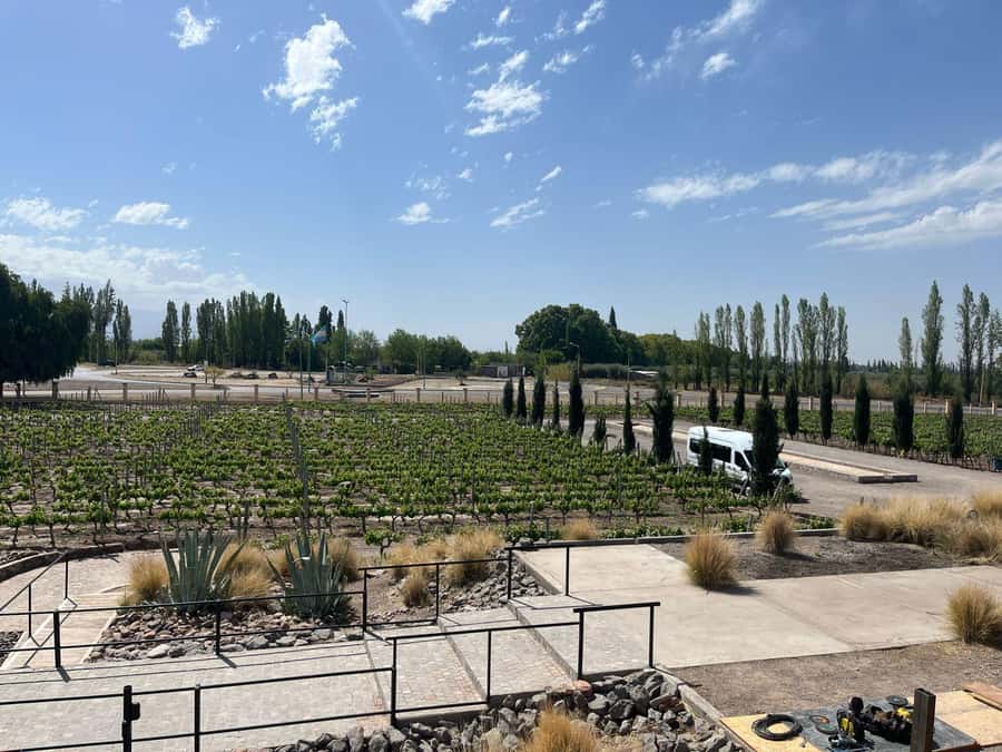 From Mendoza: 3 Wineries, Olive Oil Factory Tour & Tasting - Why Maipú makes a practical wine day