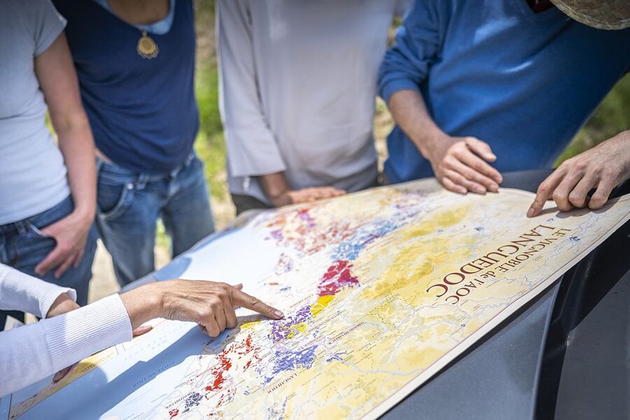From Montpellier: Wine and Olive Tour - Is $88 good value?