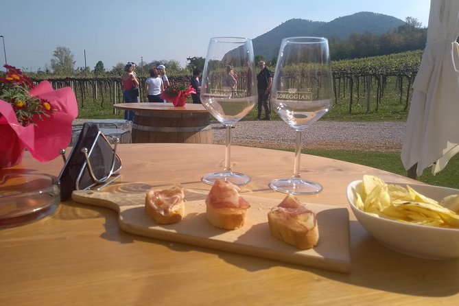 From Padua: Olive Oil & Wine in the Euganean Hills - Cantina Colli Euganei and the wine tasting