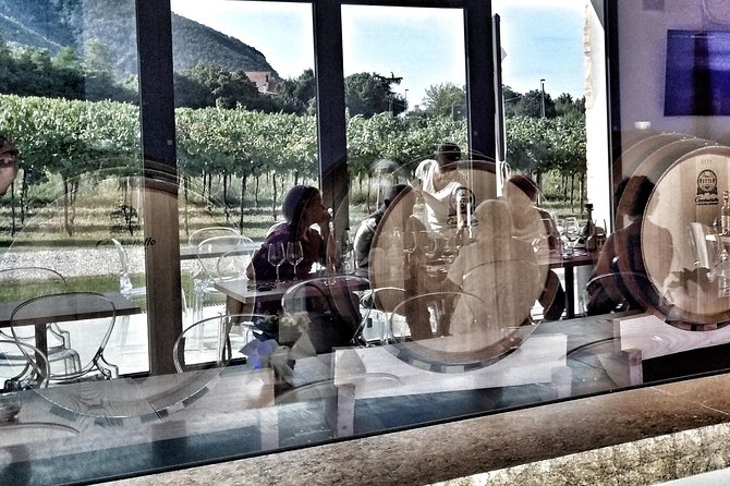 From Padua: Olive Oil & Wine in the Euganean Hills - EVO del Borgo in Arquà Petrarca