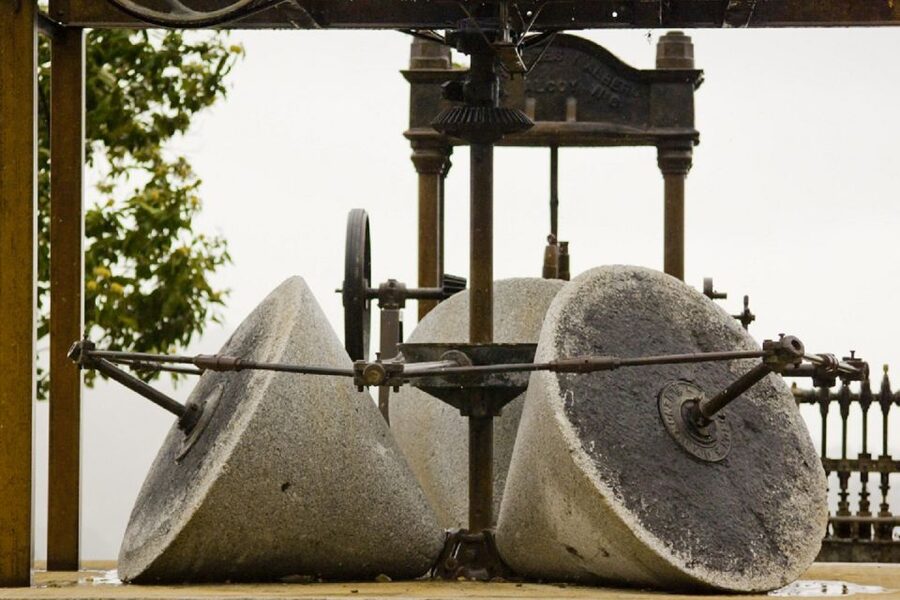 From Seville: Olive Oil Farm Tour - Key points to know before you book