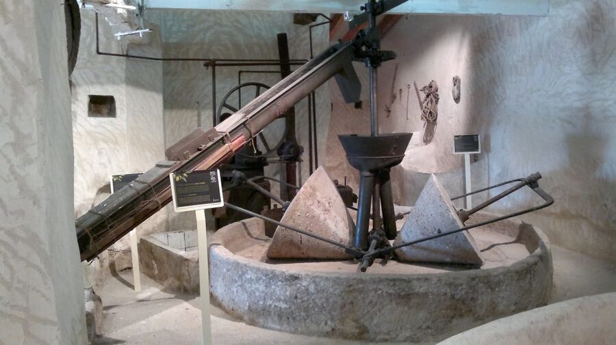 From Seville: Olive Oil Farm Tour - Walking among the olive trees