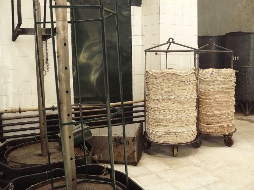 From Seville: Olive Oil Farm Tour - Practical tips for a better visit