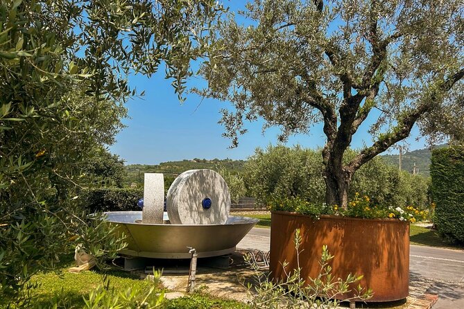 From Venice: Olive Oil & Wine Tour in the Venetian Hills - EVO del Borgo and the olive oil lesson