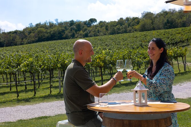 From Venice: Olive Oil & Wine Tour in the Venetian Hills - Cantina Colli Euganei and regional wine